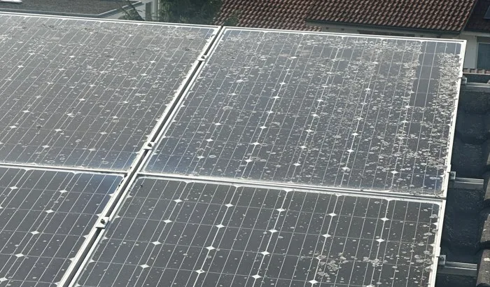 Flechtenentfernung auf PV-Anlage